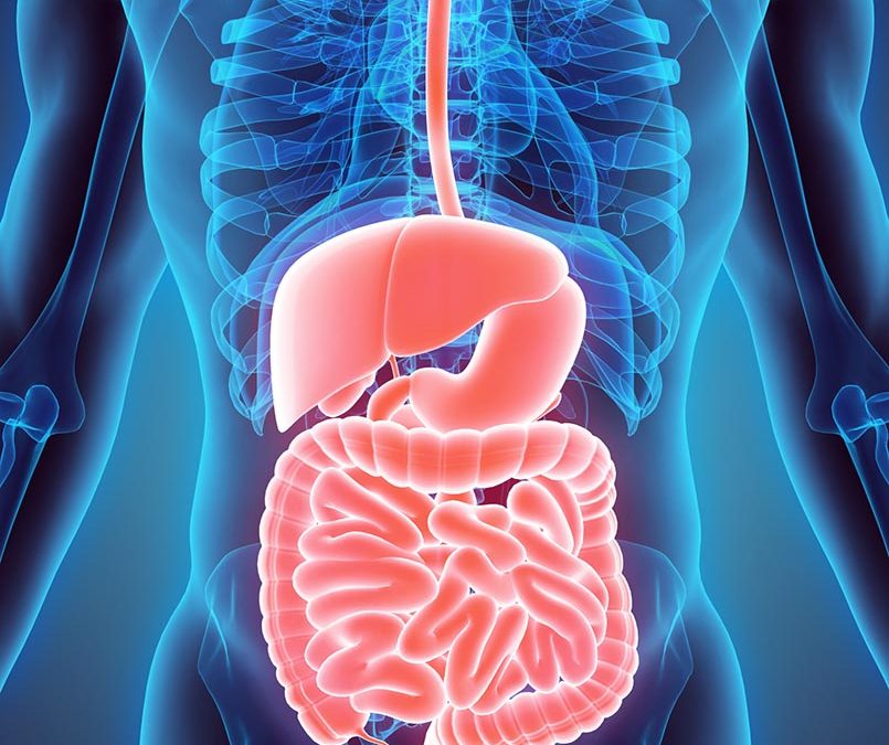 Gastrointestinal Health: The Best Practices for Good Digestion