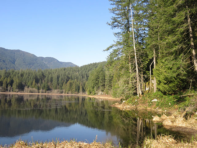 locations: Coquitlam